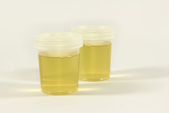 fake pee